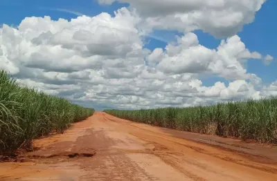 Fazenda para venda na região de junqueiropolis-sp com 265 alqueires sendo 220 alqueires em cana arrendada, próxima da usina, sem benfeitorias