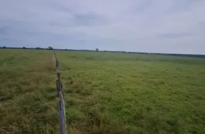 Fazenda na pecuaria para venda na região de mozarlandia-go com 2.100 hectares toda aberta e formada, planta 1.350 hectares, rica em agua e muitas benf