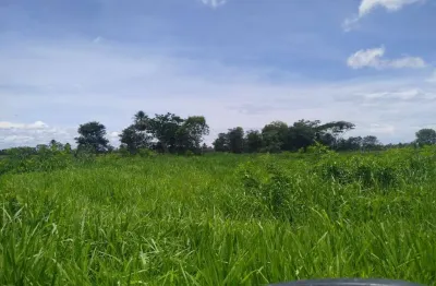 Fazenda na pecuária para venda na região de corumba-ms no pantanal com 1.990 hectares, ótima em benfeitorias