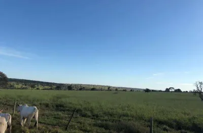 Fazenda dupla aptidão na região de anaurilandia-ms com 150 alqueires formada na pastagem e muitas benfeitorias