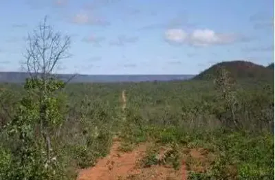 Fazenda para venda na região de formosa do rio preto-ba com 12.500 hectares, logística excelente, região nobre para lavoura