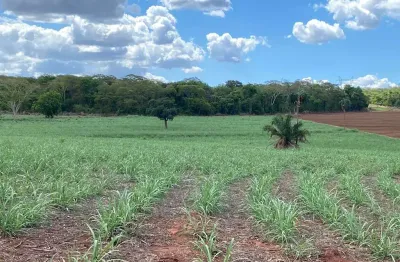 Sitio para venda na região de ouroeste-sp com 19 alqueires sendo 18 alqueires em cana arrendada, aproveita 100%, 3 km do asfalto