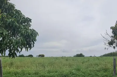 Fazenda dupla aptidão para venda na região de morpara-ba com 11.500 hectares, atual na pecuária, rica em agua, muitas benfeitorias, porteira fechada