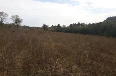 Fazenda para venda na região de rochedo-ms com 210 hectares em braquiara, rica em agua com 2 corregos, sem benfeitorias