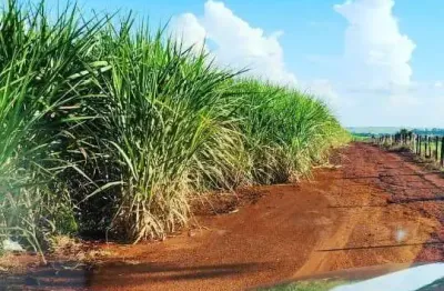 Sitio para venda na região de ituverava-sp com 4,6 alqueires sendo 3,5 alqueires em cana