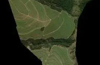 Oportunidade. fazenda para venda na região de presidente prudente-sp com 182 alqueires sendo 109 alqueires em cana arrendada, excedente em mata, sem b
