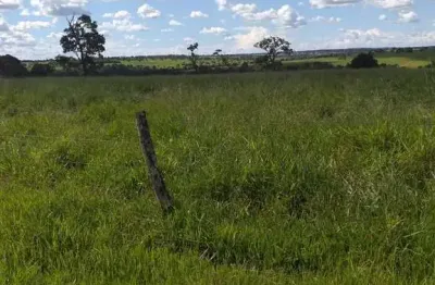 Fazenda para venda na região de iturama-mg com 992 hectares montada na pecuária, benfeitorias, rica em agua, pode rodar pivo