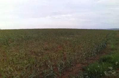 Fazenda dupla aptidao para venda na região de tupa-sp com 40 alqueires, próxima da cidade, sem benfeitorias, planta 20 alqueires