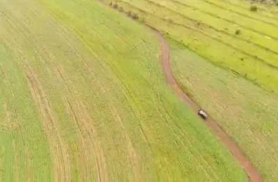 Fazenda dupla aptidão para venda na região de piraju-sp com 1.120 alqueires, planta 580 alqueires, restante em pasto