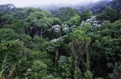 Sitio de mata atlantica para venda na regiao de sao paulo-sp, com 29,9 alqueires, ideal para compensação ambiental