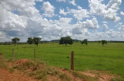 Fazenda para venda na região de inocencia-ms com 115 alqueires montada na pecuária, boa de agua e benfeitorias