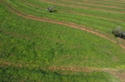 Fazenda para venda na região de aparecida do taboado-ms com 149 alqueires, terra de cultura, montada na pecuária, benfeitorias ótimas, rica em agua