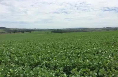 Fazenda para venda na região de itapetininga-sp com 47 alqueires sendo 40 alqueires plantados em soja, boa de agua, córrego na propriedade