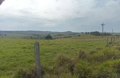 Fazenda para venda na região de cel macedo-sp com 198 alqueires montada na pecuária, varias benfeitorias, boa de agua, porteira fechada