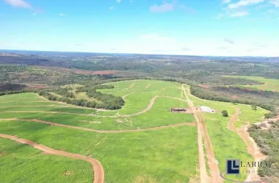 Fazenda para venda na região de guiratinga-mt com 380 hectares em pastagem, rica em agua, benfeitorias e beira do asfalto