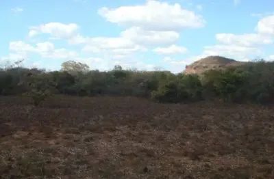 Fazenda grande extensão para venda na região de parnagua-pi com 16.900 hectares total, parte em pastagem, muita madeira, rica em agua e benfeitorias