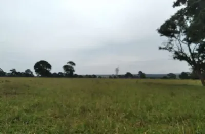 Fazenda dupla aptidao para venda na regia de limeira doeste-mg com 325 hectares, atual na pecuária, rica em agua, benfeitorias