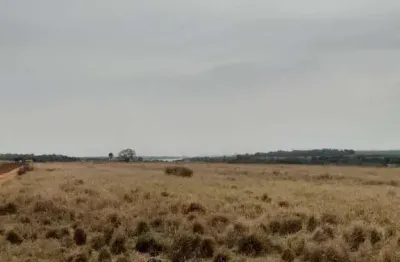 Fazenda para pecuária a venda na região de fernandópolis-sp com 102 alqueires em pastagem, benfeitorias, represa e poço artesiano