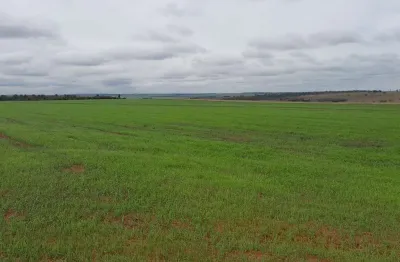 Fazenda para venda na região de presidente prudente-sp com 62 alqueires em soja com pivo, aproveita 88%, rica em agua