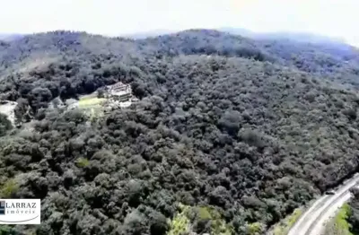 Area para incorporação a venda em são roque-sp com 63 alqueires em pinus e eucalipto, pode abrir 80%, região povoada, alto padrão, estuda parceria