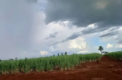 Sitio para venda na região de ituverava-sp com 7 alqueires sendo 5 alqueires em cana arrendada, rica em agua, terra de cultura