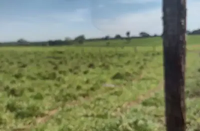 Fazenda para venda na região de dolcinopolis-sp com 52 alqueires sendo 48 alqueires em cana arrendada, beira da pista, benfeitorias
