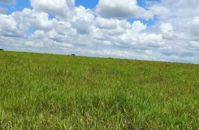 Fazenda dupla aptidao para venda na região de jales-sp com 77 alqueires sendo 63 alqueires em cana arrendada
