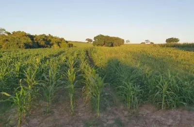 Sitio dupla aptidão para venda na região de jales-sp com 25,50 alqueires sedo 1 alqueires em cana arrendada, boa de benfeitorias, represa