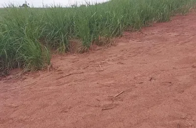 Sitio para venda na região de jales-sp com 26 alqueires sendo 24 alqueirem em cana arrendada, beira do asfalto