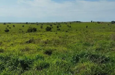 Fazenda para venda na região de sonora-ms com 342 alqueires montada na pecuária, rica em agua e benfeitorias
