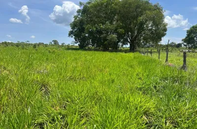 Fazenda dupla aptidão para venda na região de campo grande-ms com 163 alqueires, atual na pecuária, rica em agua, ideal para lavoura de soja