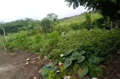 Fazenda bruta para venda na região de gentio do ouro-ba com 2.400 hectares, totalmente plana, poço artesiano, vicinal passa dentro da fazenda