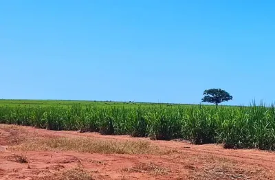 Fazenda para venda na região de presidente venceslau-sp com 95 alqueires sendo 70 alqueires em cana arrendada, benfeitorias