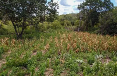 Fazenda para venda na região de morpara-ba com 410 hectares, rica em agua, terra plana e argilosa, beira da rodovia