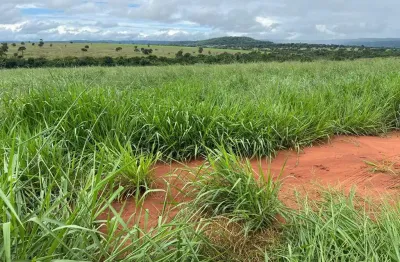 Fazenda dupla aptidão para venda na região de cassilandia-ms com 128 alqueires, aproveitamento 118 alqueires, montada na pecuária