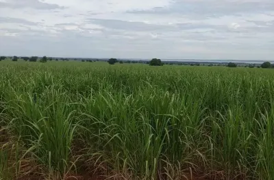 Linda fazenda para venda na região de dracena-sp com 125 alqueires sendo 78 alqueires em cana arrendada, linda casa sede, rica em agua