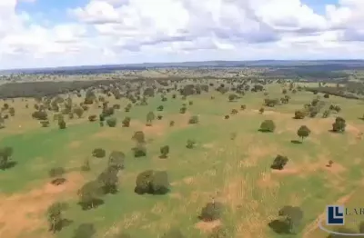Ótima fazenda na pecuaria para venda em itaruma-go com 503 hectares, benfeitorias, boa de agua e topografia plana