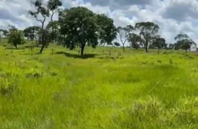 Sitio para venda em campina verde-mg com 61 hectares na pecuária, muito bom de agua e benfeitorias