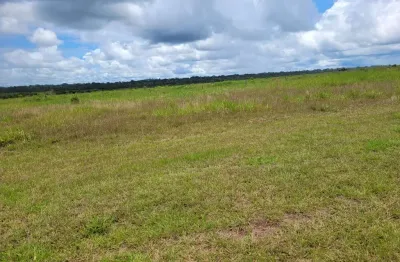 Fazenda dupla aptidao para venda na região de matupa-mt com 35.000 hectares montada na pecuária, rica em agua e benfeitorias