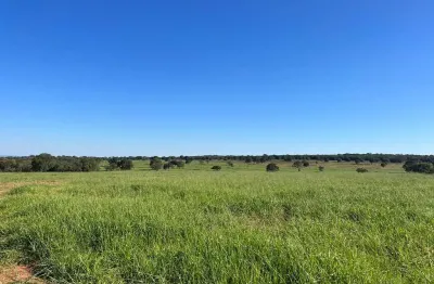 Fazenda para venda na região de inocencia-ms com 98 alqueires na pecuária, boa de agua e de benfeitorias