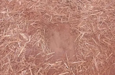 Sitio para venda na região de ribeirão preto-sp com 18 alqueires sendo 16 alqueires em cana arrendada, terra vermelha, boa de agua, beira da rodovia
