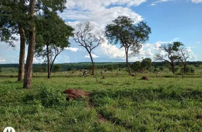 Fazenda para venda na região de ituramas-mg com 145 hectares na pecuária, aproveita 80% para plantio, usinas tem interesse em arrendar