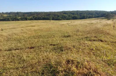 Fazenda dupla aptidao para venda na região de ituiutaba-mg com 175 hectares na pecuária, pode plantar 140 hectares em cana ou soja
