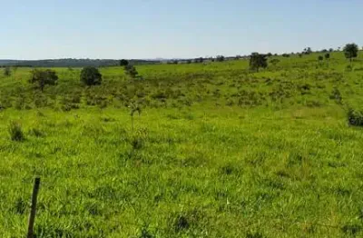 Fazenda para venda na região de camapua-ms com 940 hectares na pecuária, rica em agua e completa em benfeitorias