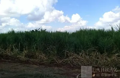 Fazenda para venda na região de são carlos-sp, com 399 alqueires sendo 290 alqueires em cana mais pasto, muitas benfeitorias