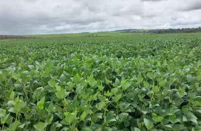 Fazenda para venda na região de mococa-sp com 168 alqueires sendo 130 alqueires para lavoura, rica em agua, beira de rio, beira do asfalto