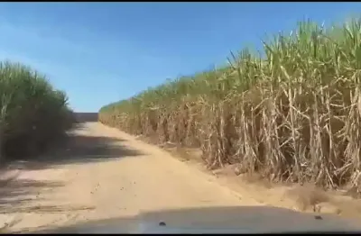 Fazenda para venda na região de brotas-sp com 390 alqueires sendo 280 alqueires em cana arrendada, rica em agua, beira do asfalto