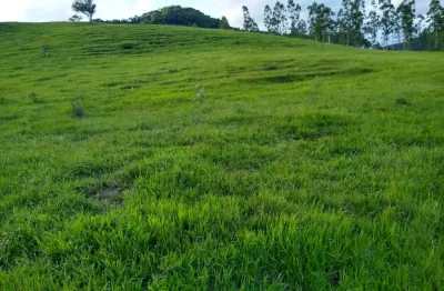 Fazenda na pecuária para venda na região de torrinha-sp com 140 alqueires, benfeitorias e rica em agua