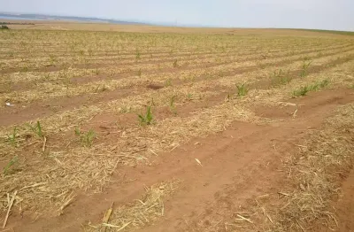 Fazenda para venda na região de brotas-sp com 128 alqueires sendo 110 alqueires em cana arrendada, rica em agua, rio na propriedade