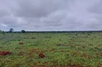 Fazenda grande extensão dupla aptidao a venda na região de nova nazare-mt com 33.000 hectares sendo 19.000 abertos, completa, rica em agua